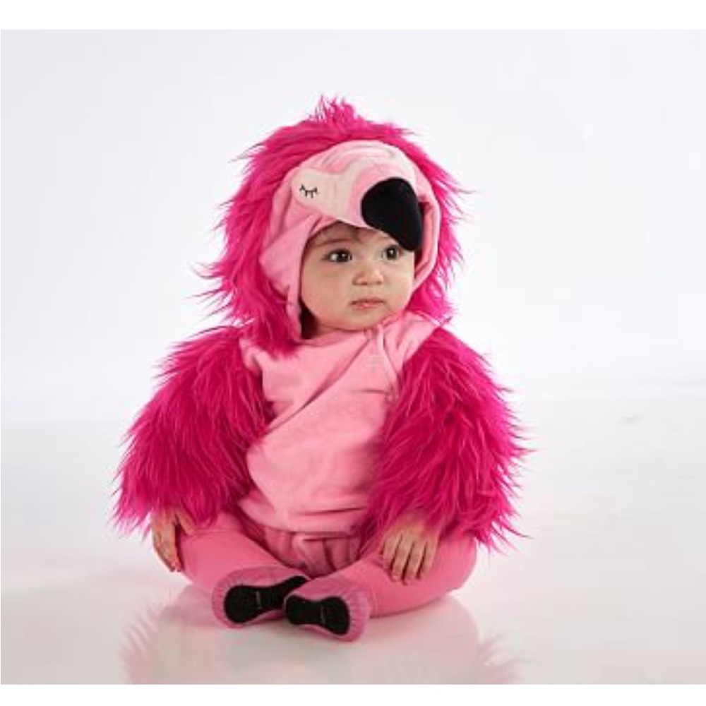 Pottery barn flamingo costume